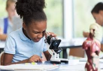 Student Stem